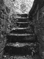 Stairs Black