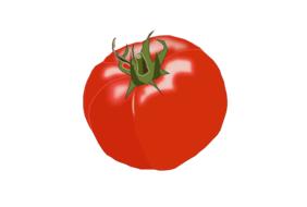 Healthy tasty tomato