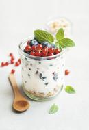 Yogurt Breakfast Cereal
