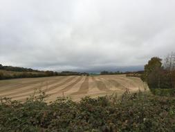 West Meon Field