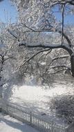 Winter View Cold