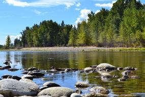Bitterroot River Hamilton