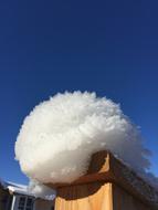 Winter Snow