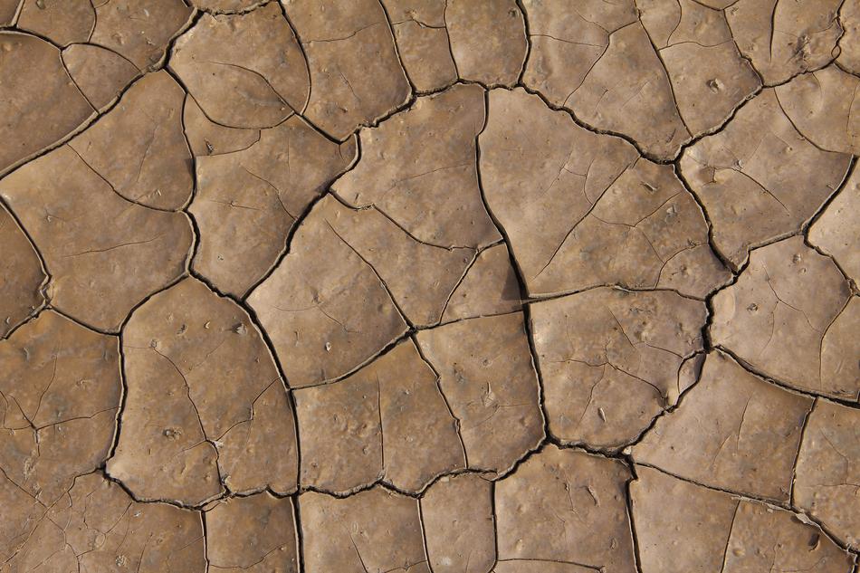 Earth Dry Quartered