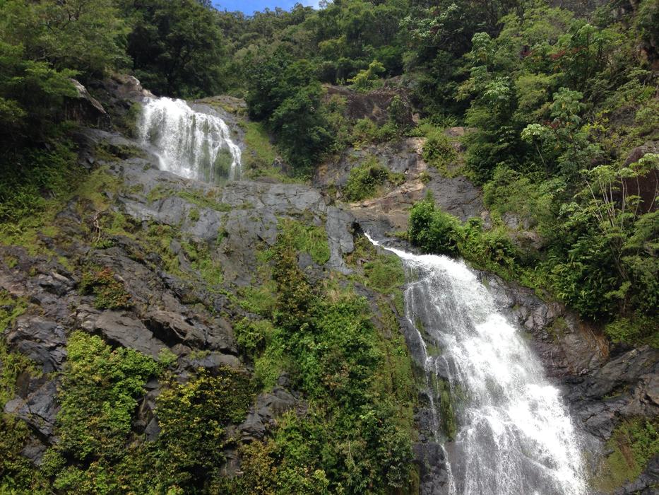 Waterfall Cairns Rainforest
