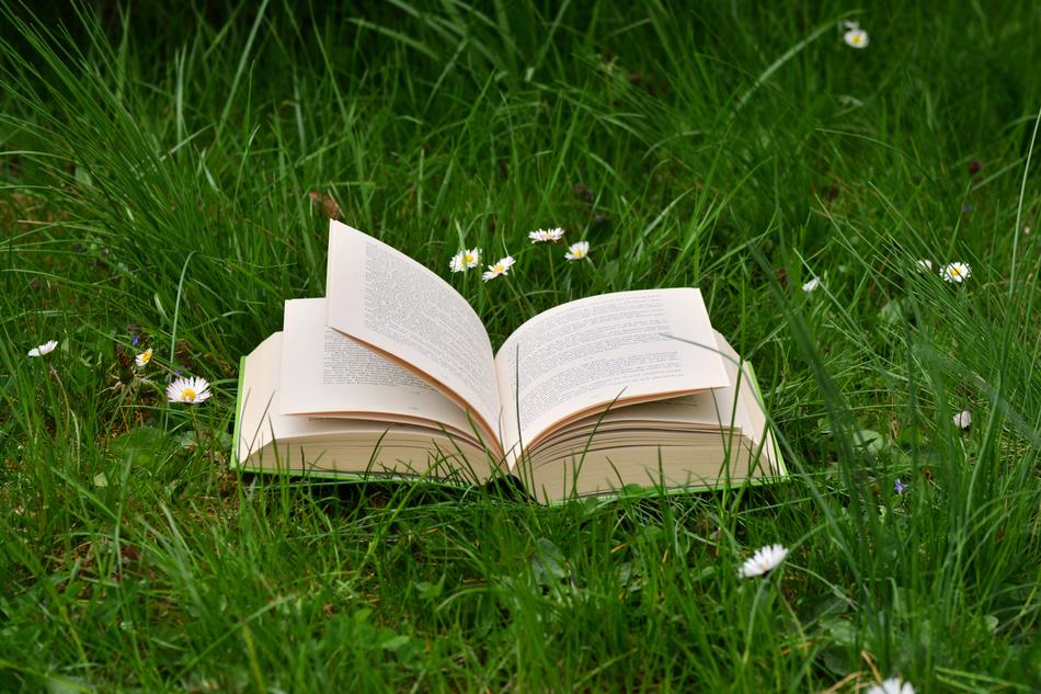 Book Meadow Read Relax