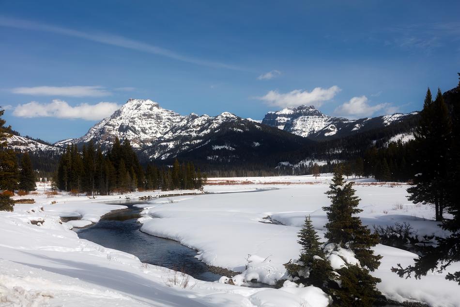 Travel to Yellowstone National Park