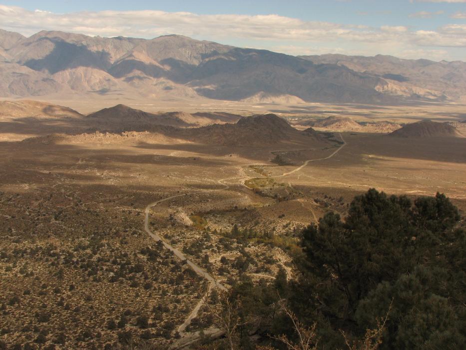road through the wilderness