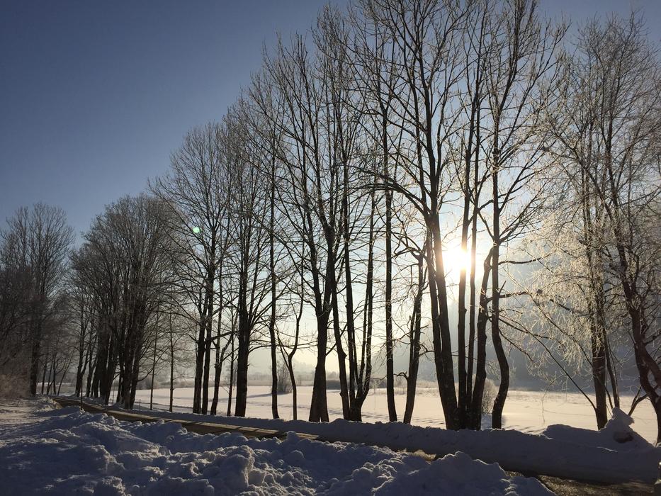 Winter Snow Wintry
