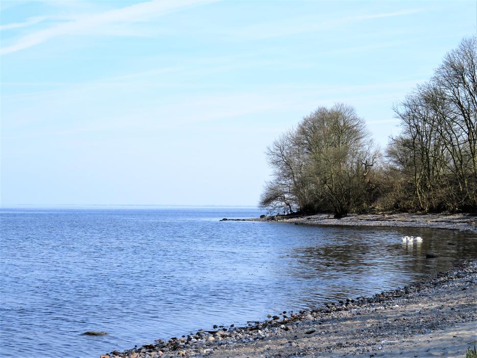 Sea Lake Danish Baltic Coast
