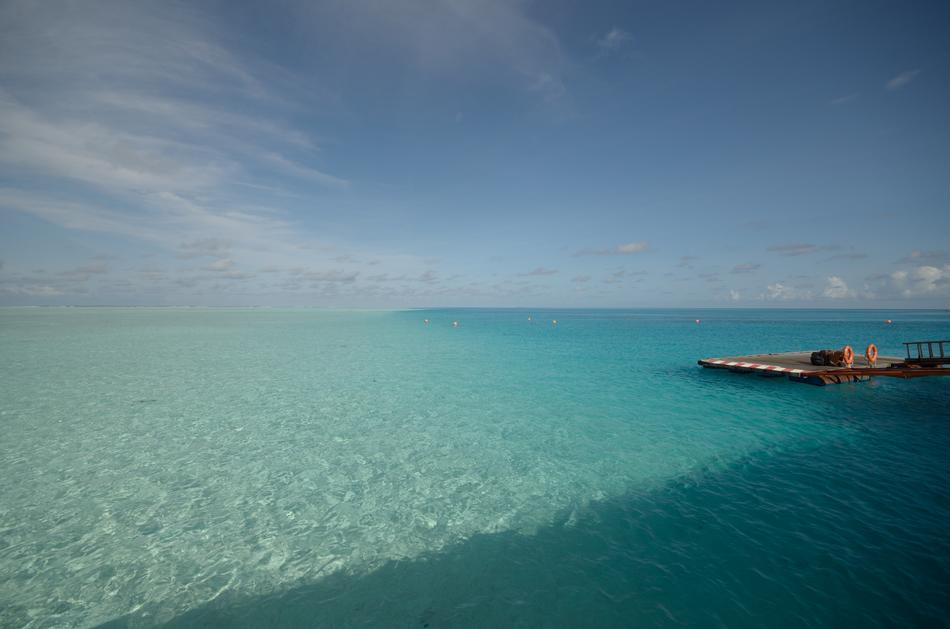 magnificent landscape by the ocean