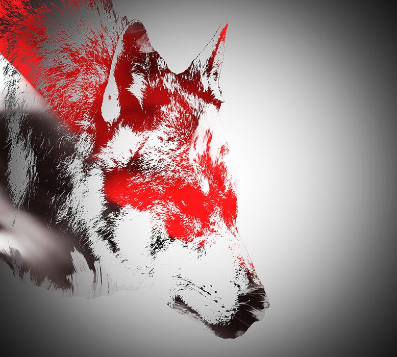 red black wolf stamp drawing