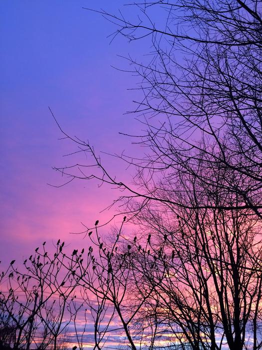 Sunset Sun