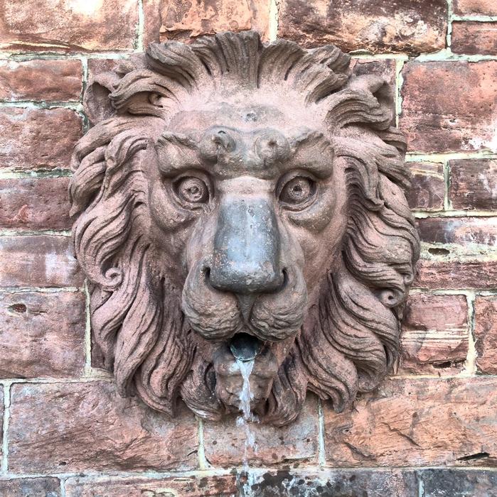 Lion Fountain Water