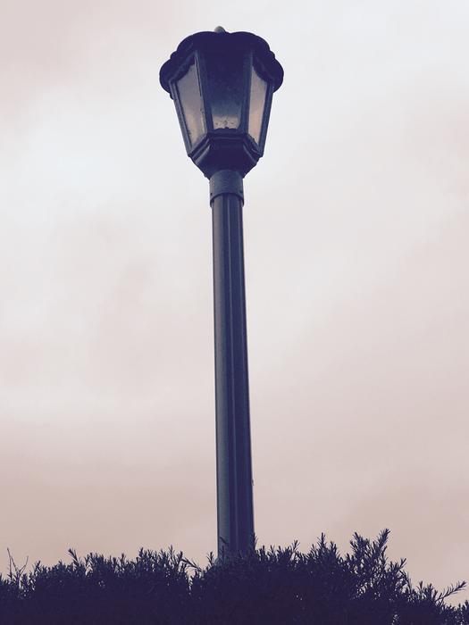 Lamp Light
