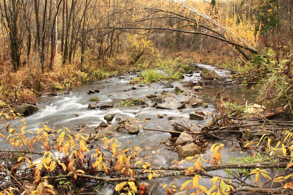 Autumn Creek