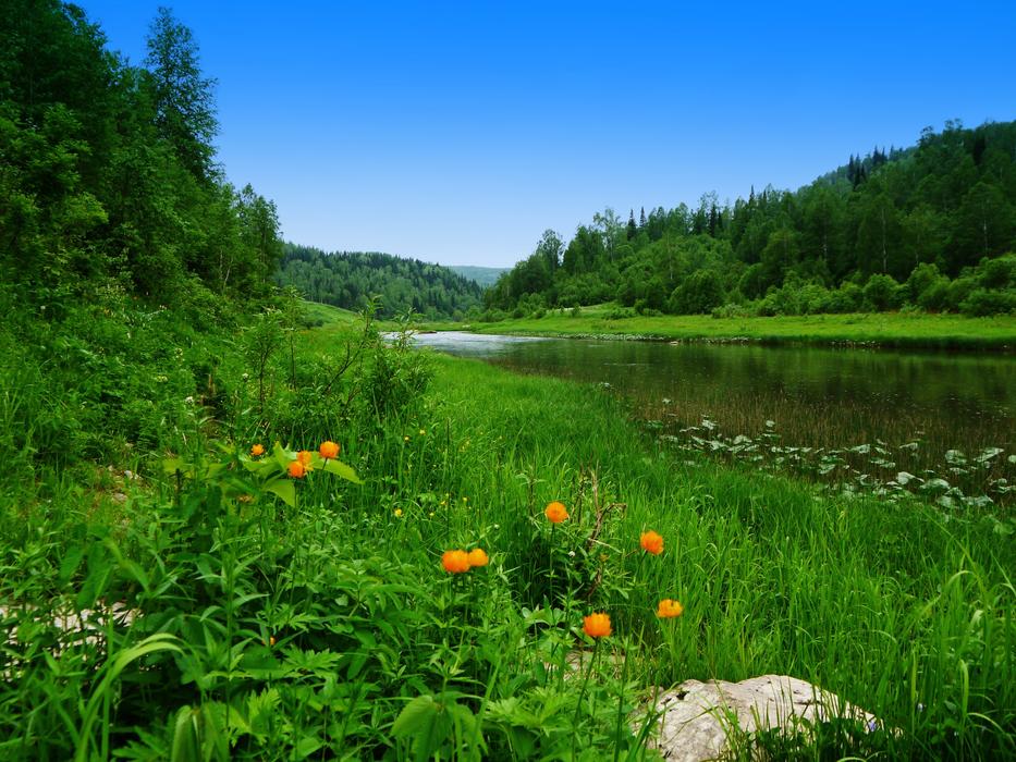 June River