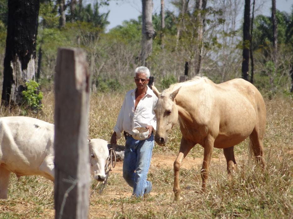 man with a white horse on a leash