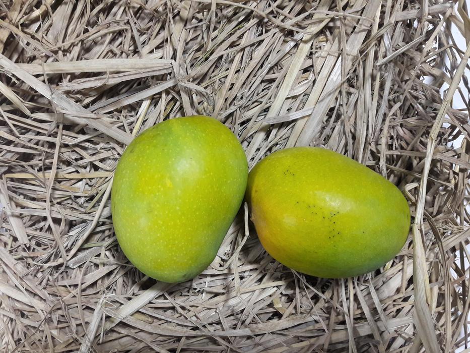 Alphonso Alfonso Mangoes