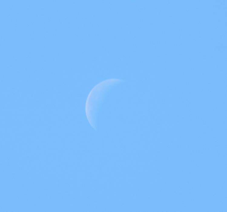 Daytime Moon Blue