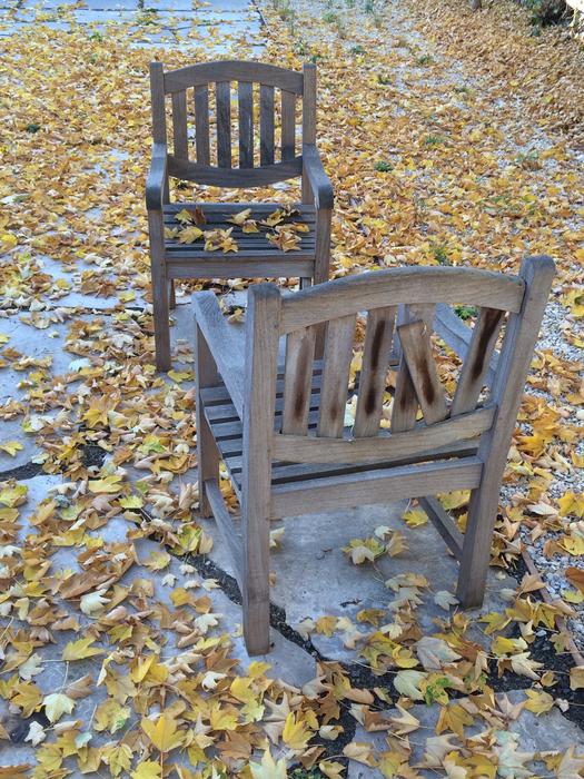 old chairs by autumn leaves