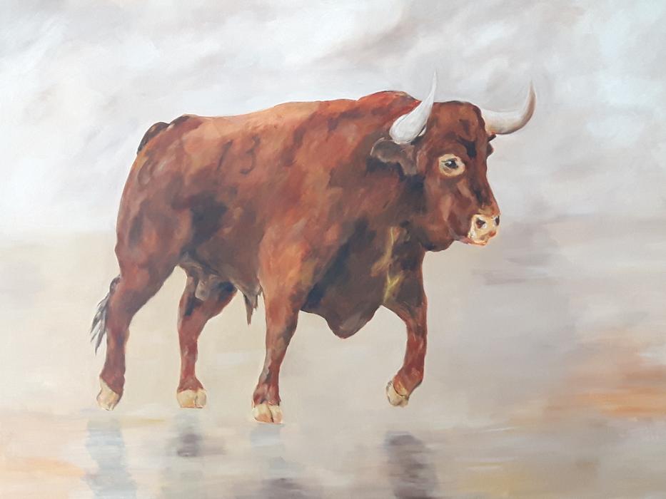 Toro Red Canvas