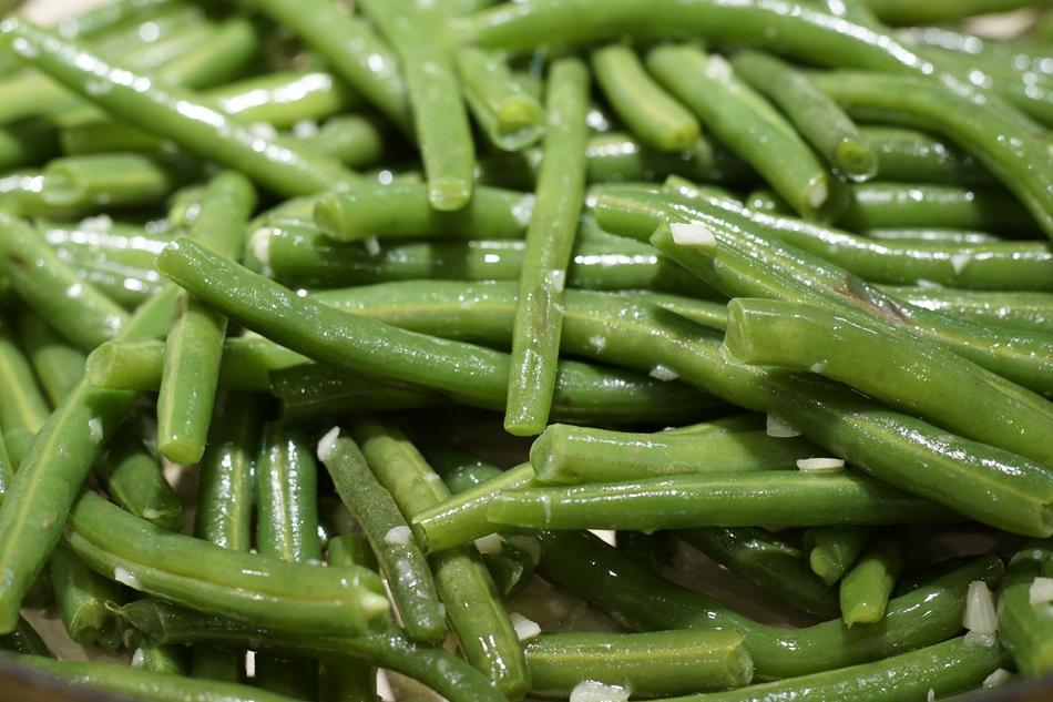 green long beans harvest