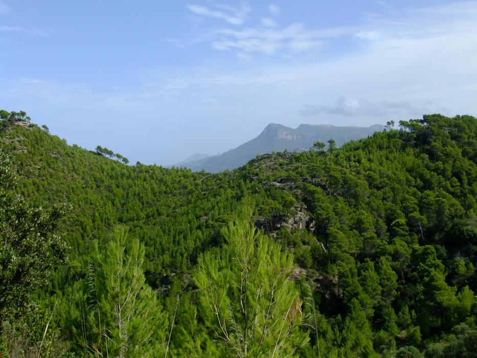 Banyalbufar Mallorca