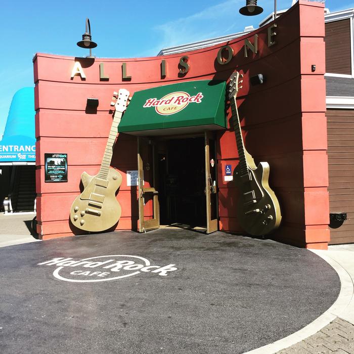 a fun bar with guitars