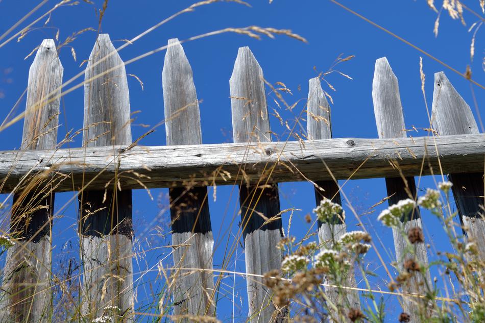 Fence Old Summer