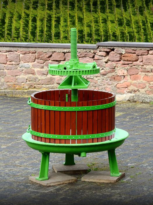 Wine Press Berries Juice
