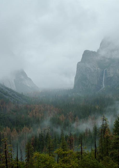 Yosemite Lookout