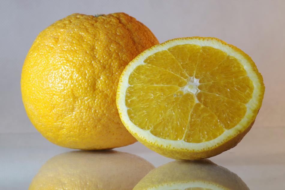 sliced oranges on a white background