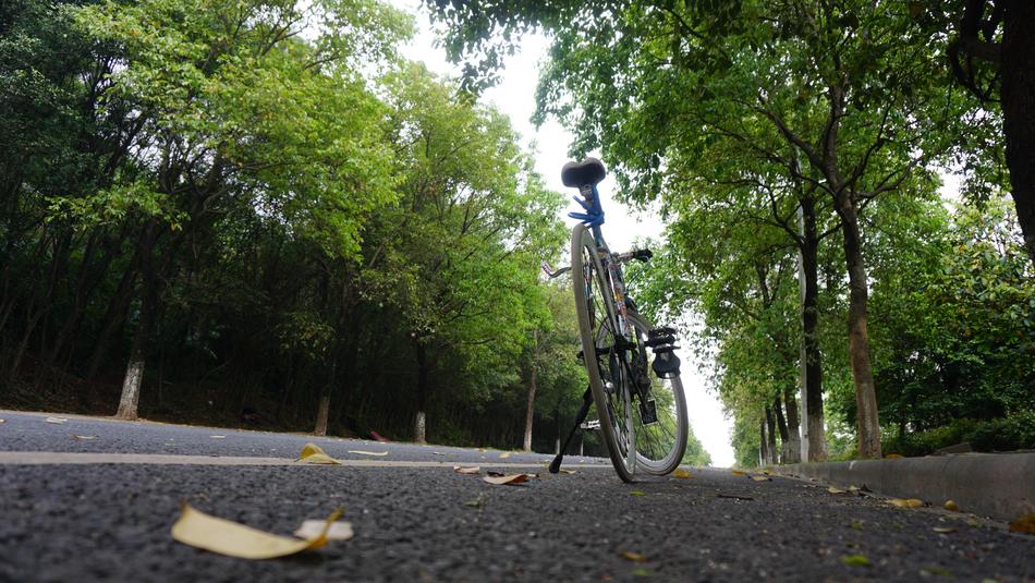 bicycle on the road in the park