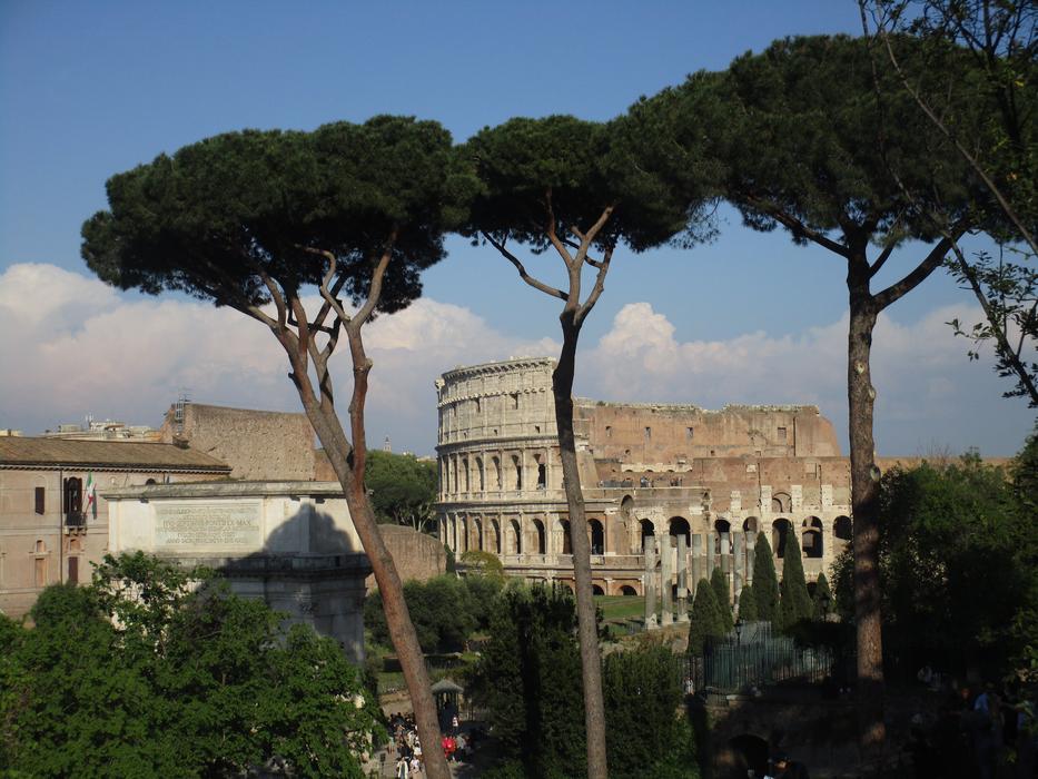 beautiful view of the roman colosseum