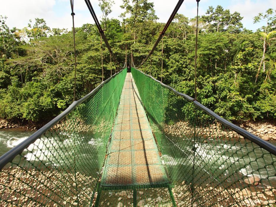 rope wooden bridge