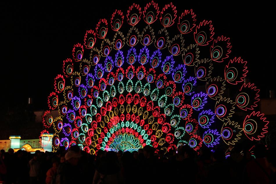 Ferris wheel colored in the night