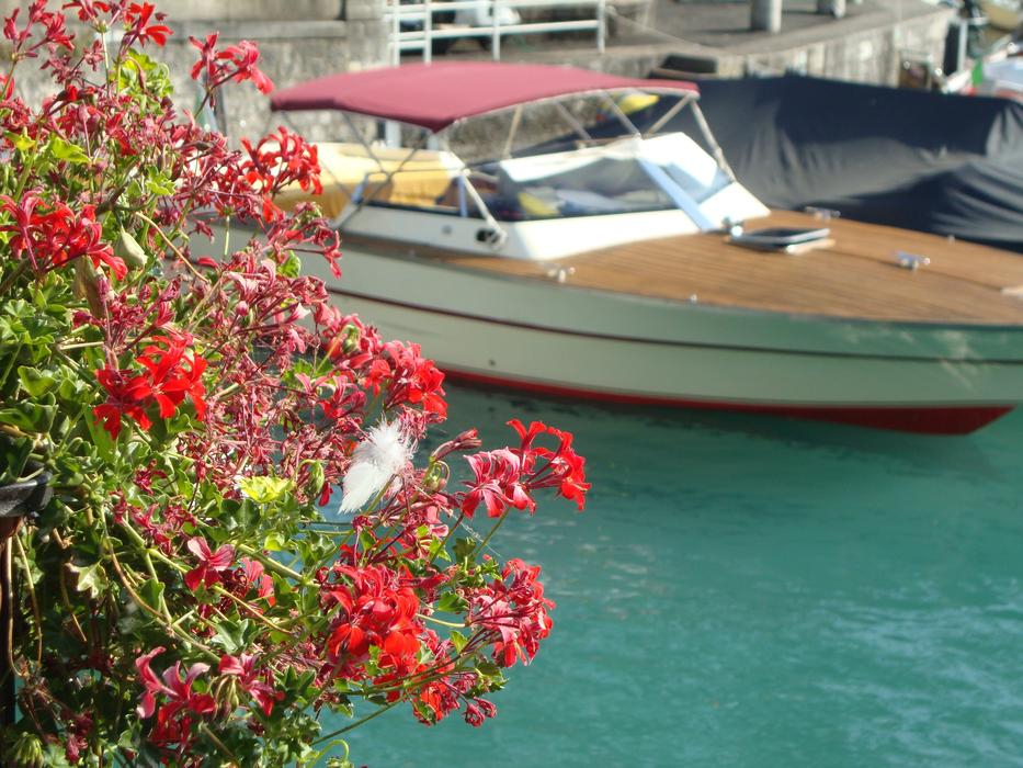 Porto Boat