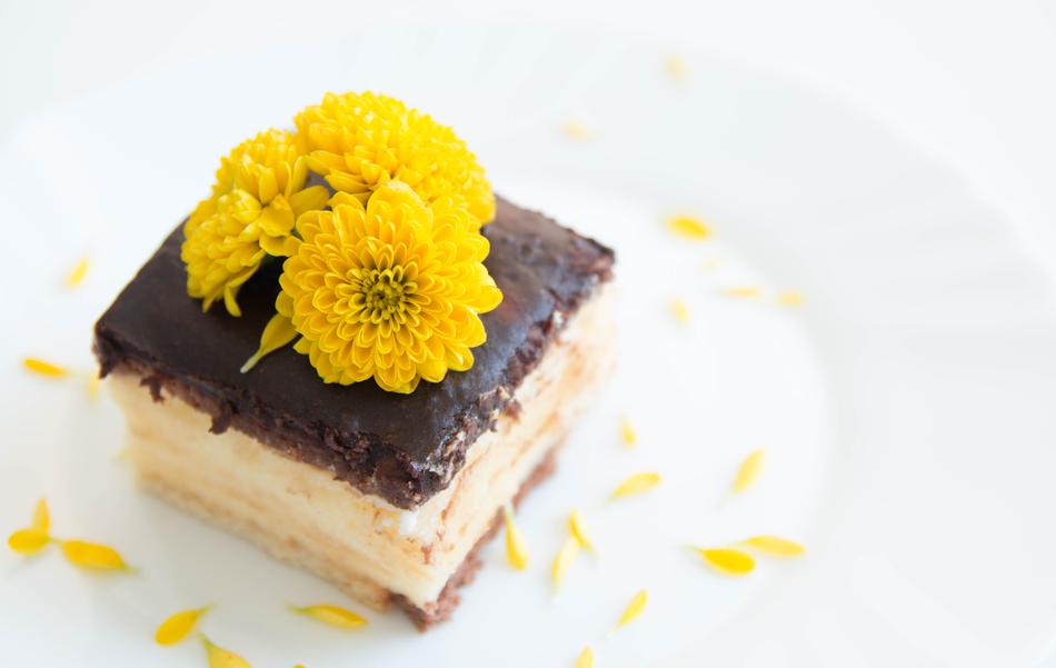 Pie Cake Chocolate