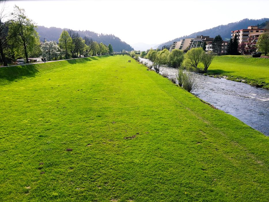 green meadow by the river