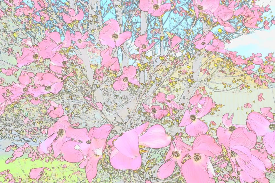 dogwood tree design as a background