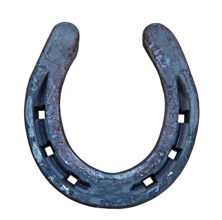 Luck Horseshoe Lucky Charm