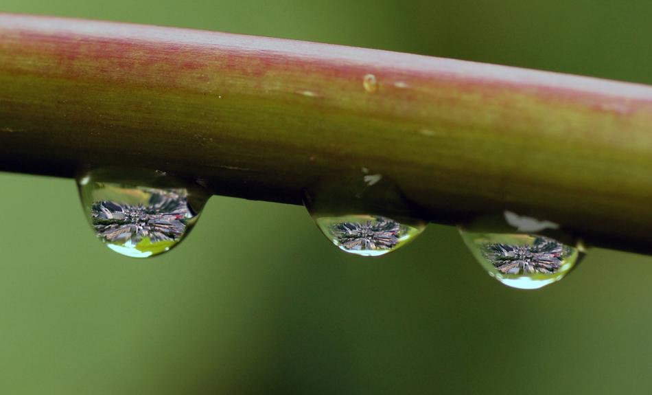 Drip Rain Water