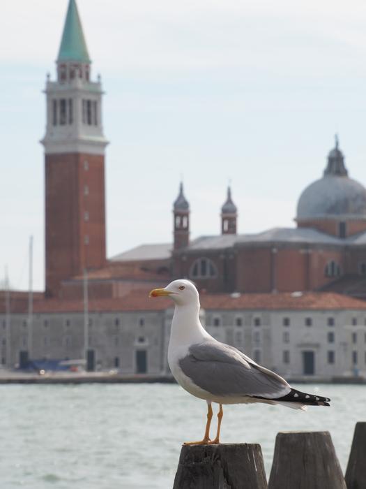 Venice Seagull Church