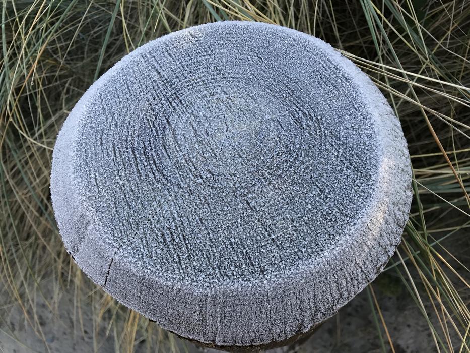 Winter Hoarfrost