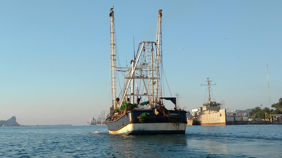 Shrimp Boat Fishing