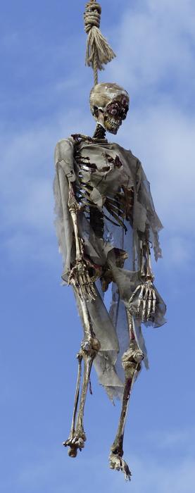 hanging intimidating skeleton