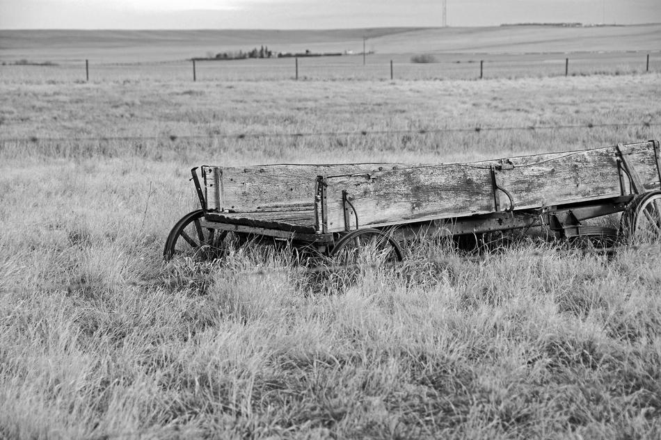 old wooden cart in the field