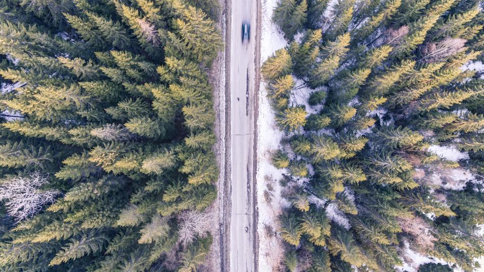 Top view of the road in the woods