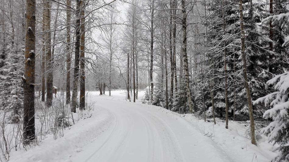 Winter White Snow